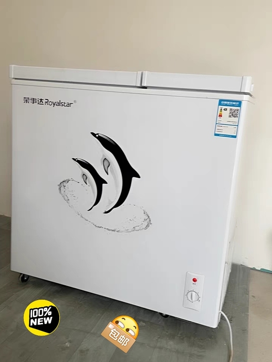【低价】荣事达小冰柜家用全冷冻小型冷柜迷你...