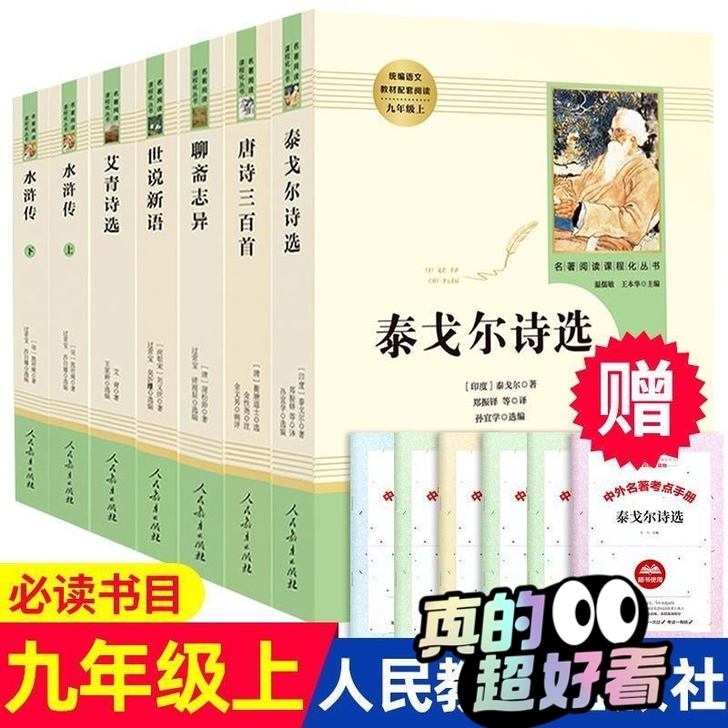 人教水浒传艾青诗选九年级全套完整无删减送考点