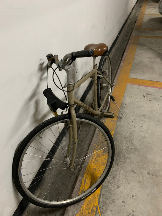 闲置法国标致公路单车，前后轮设计方便拆取，...