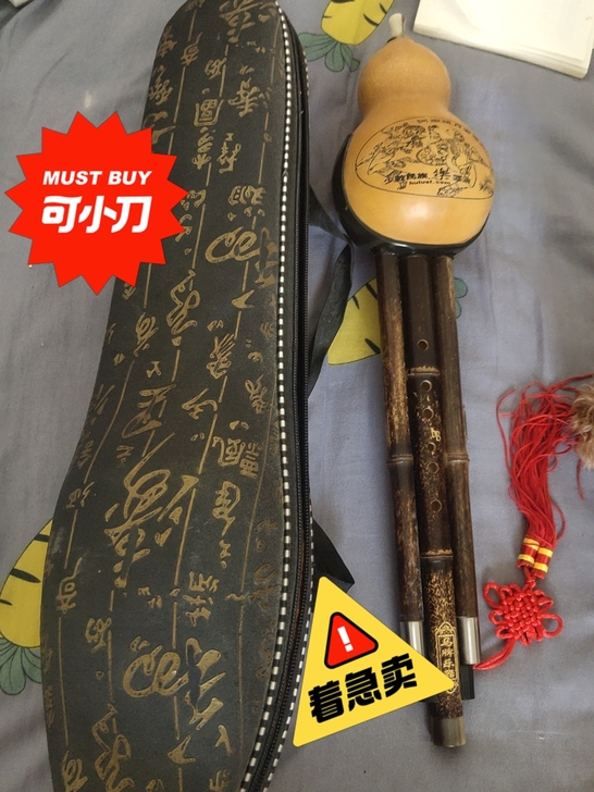 全新葫芦丝 学校让买的 就用过一次 已经消...