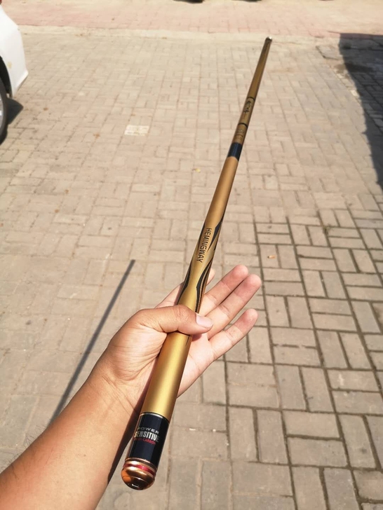 海明威龙门飞甲鲤青轻量化大物竿强力竿