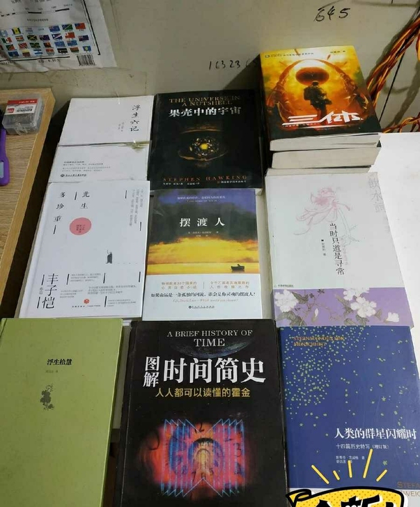 时间简史，皮囊，百年孤独，活着，摆渡人，许...