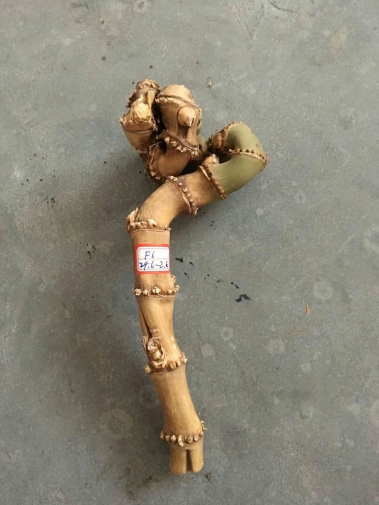 异形竹鞭,品相如图所示,售出不退。