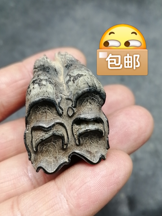 奇石～（老化石牙）  自己捡的，化石，不清...