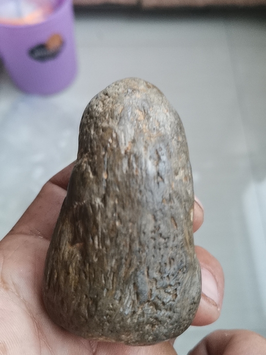 草化玉黑龙江桫椤玉原石化石