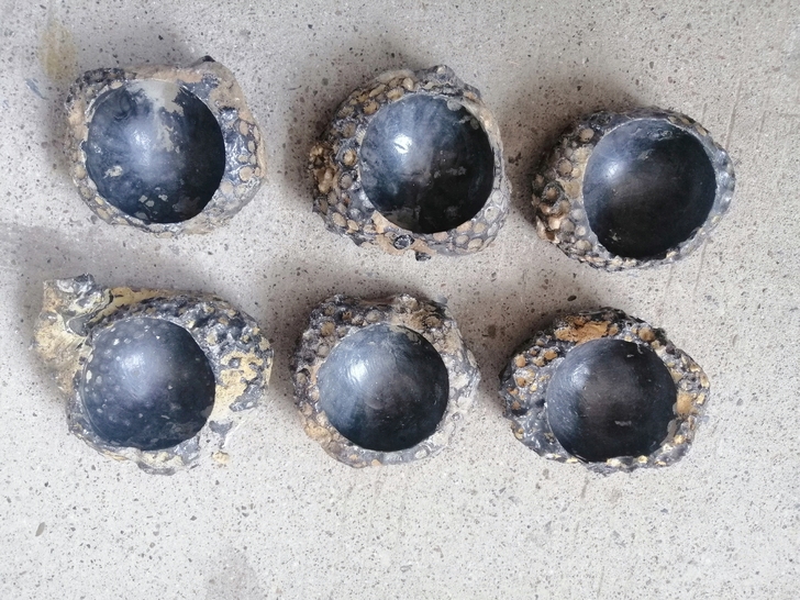 广西珊瑚化石蜂窝化石烟灰缸花盆