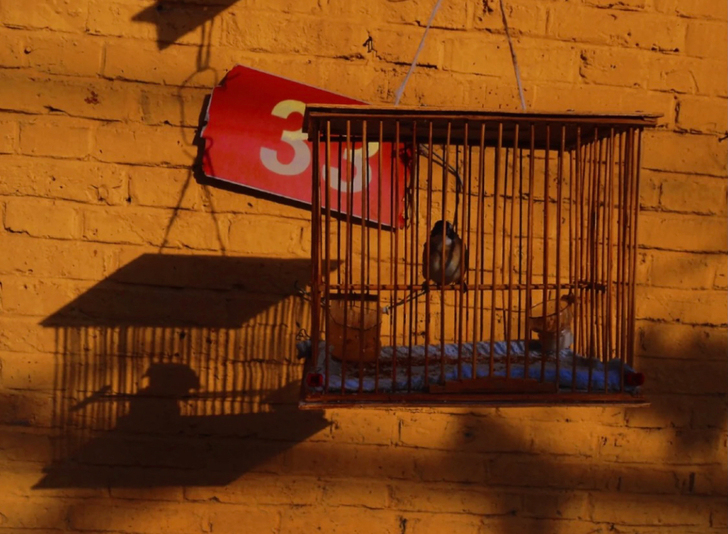 尼康S3300 故事正在发生 记录美好生活