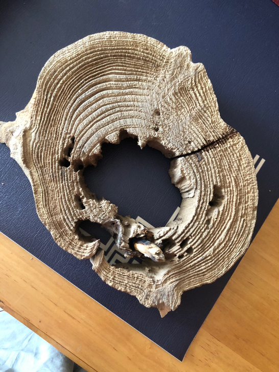 胡杨木千年陈化原木底座摆设，随形摆件创意底...