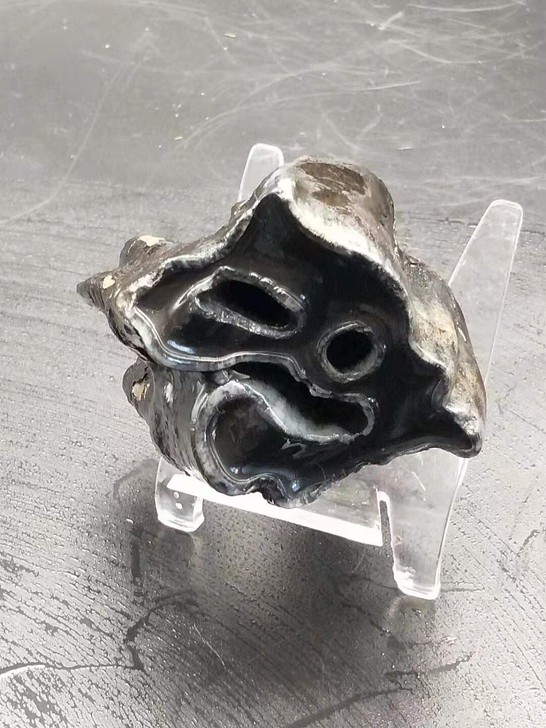 数万年前冰河时代，骨生物牙化石，保存完整，...