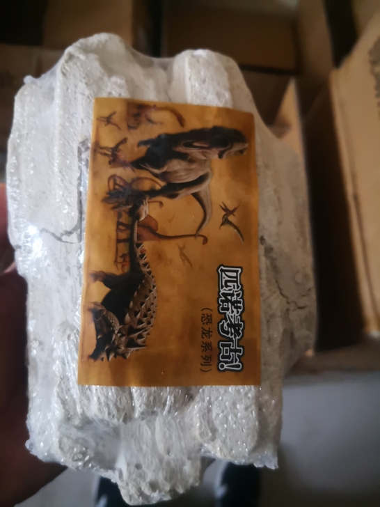 处理:匹诺大号考古化石 ,因为运输原因,外...