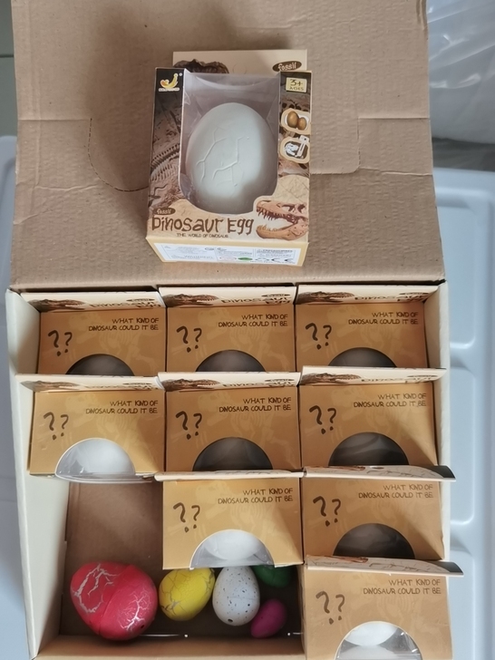儿童考古化石带工具全新，20元一个，十个1...