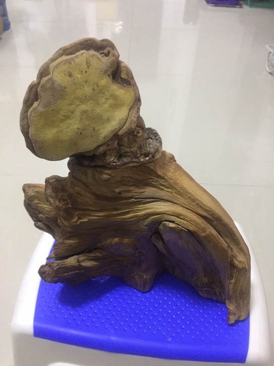 崖柏摆件家中闲置，崖柏红油老料天然摆件，上...