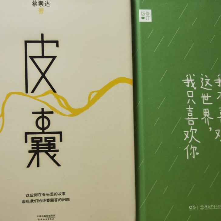 我不喜欢这世界我只喜欢你，皮囊两本书
