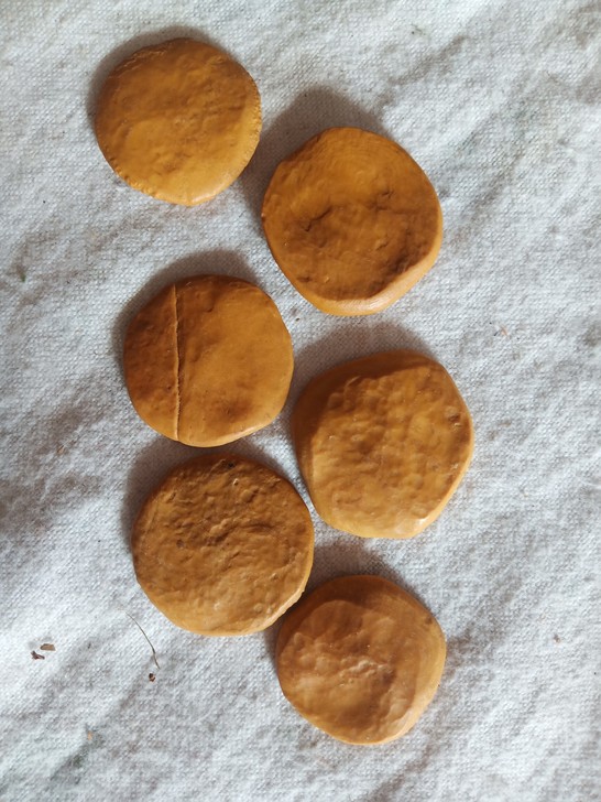 埃及货币虫化石，古生物化石，二手商品售出不...