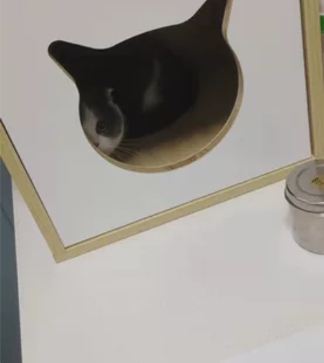 【收】兰若庭 只收带吊牌 无瑕疵的 L码 ...