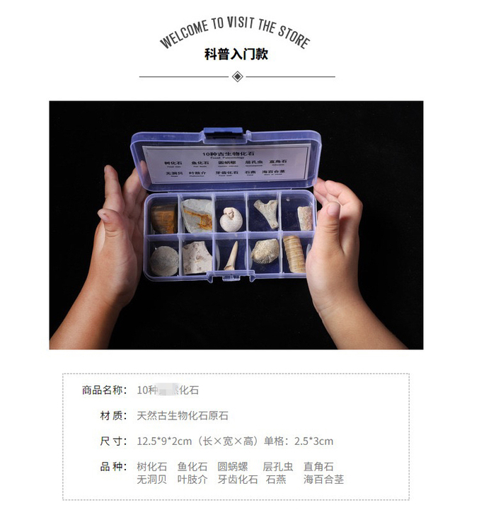 天然古生物化石标本盒三叶虫化石琥珀原石奇石...