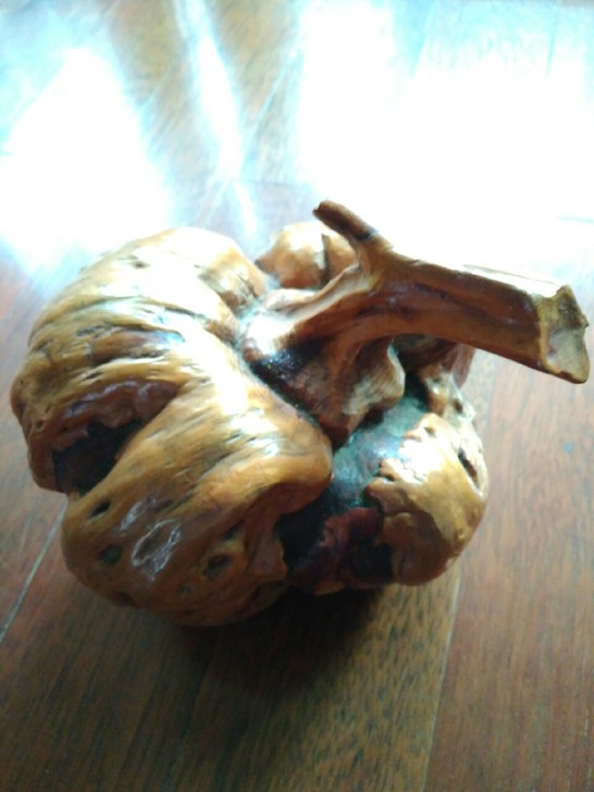 木根南瓜，纯天然，没有人工雕琢，家庭财富摆...