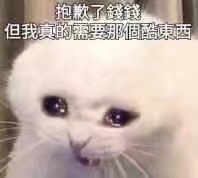 【收】啥都可以来问问w