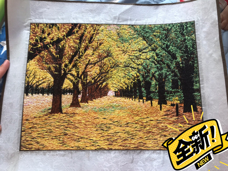 20一幅急出，电脑刺绣画，扬州旅游时候买的...