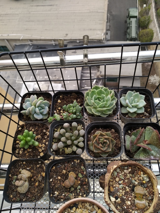 日式铁艺网格收纳筐