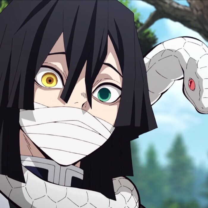 【全新】鬼灭之刃cos服鬼杀队队服蛇柱伊黑...