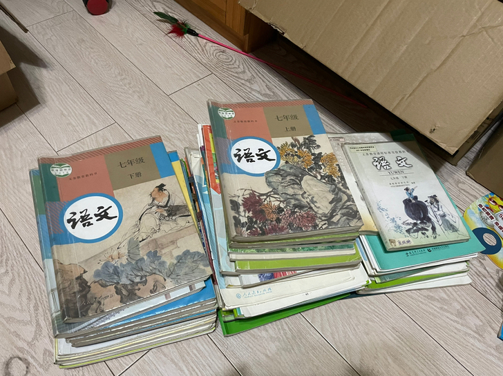 七年级