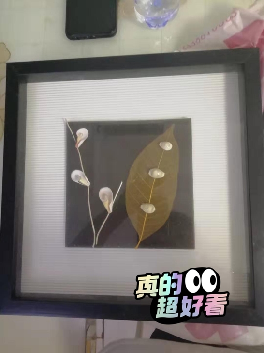 闲置的贝壳装饰画两幅32.5厘米见方。免费...