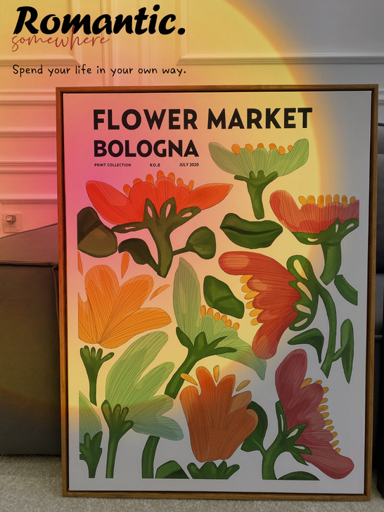 装饰画挂画 60x80全新不议价