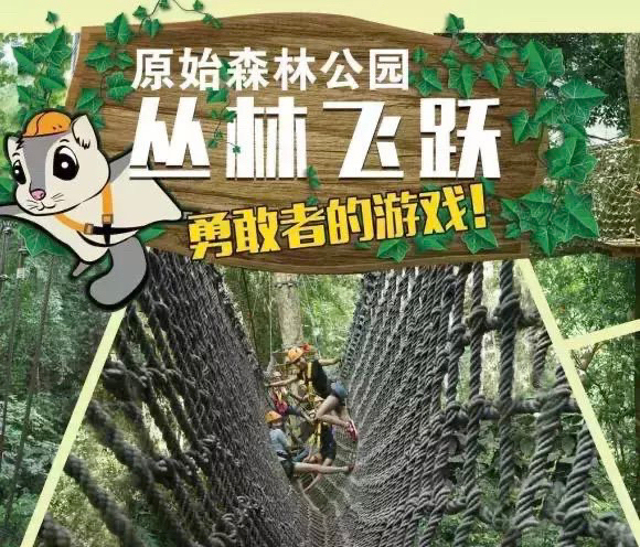 西双版纳原始森林公园丛林飞跃  Ａ段  Ｂ...