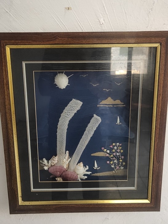 贝壳装饰画，5个打包400元，不议价，惠州...