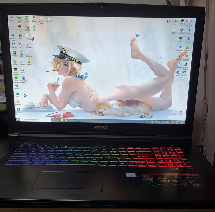 微星GP72mvr