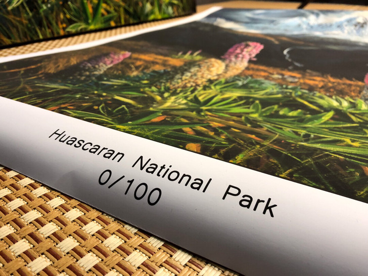 《瓦斯卡兰国家公园》〔Parque Nac...