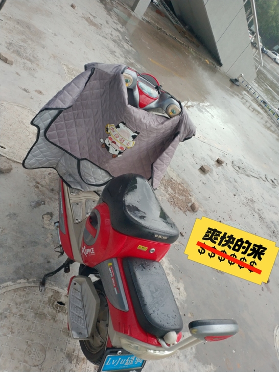 出售绿驹电动车一辆，正常骑没问题。可以带人...