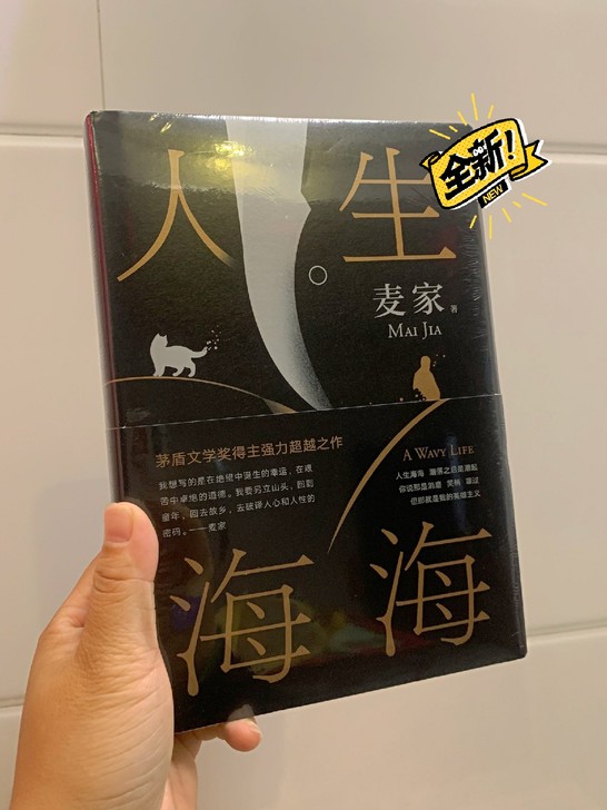 现货 人生海海人生海海薇娅推荐 麦家 茅盾...