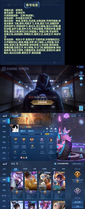 王者荣耀，安卓Q，V8，257皮肤，300...