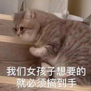 说明