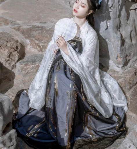 平价退坑汉服 艺缕 黑云鹤 大袖衫➕上衣➕...