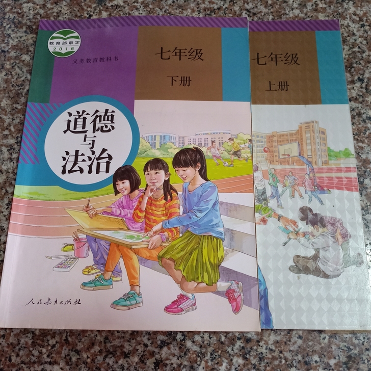初中全册 《道德与法治》