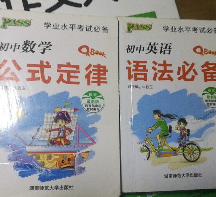 pass绿卡图书 Q-BOOK系列 初中初...