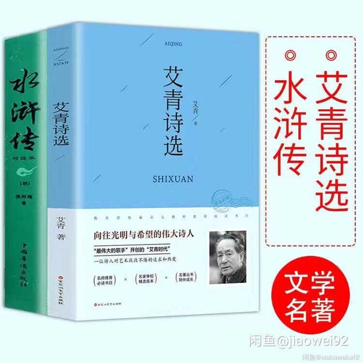 艾青诗选 水浒传 初中九年级上册 初中学生...