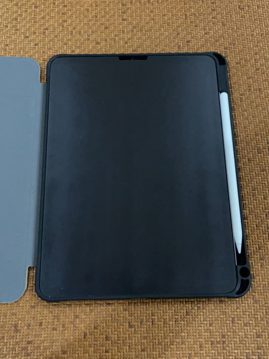 ipad pro 2021 256g 11...