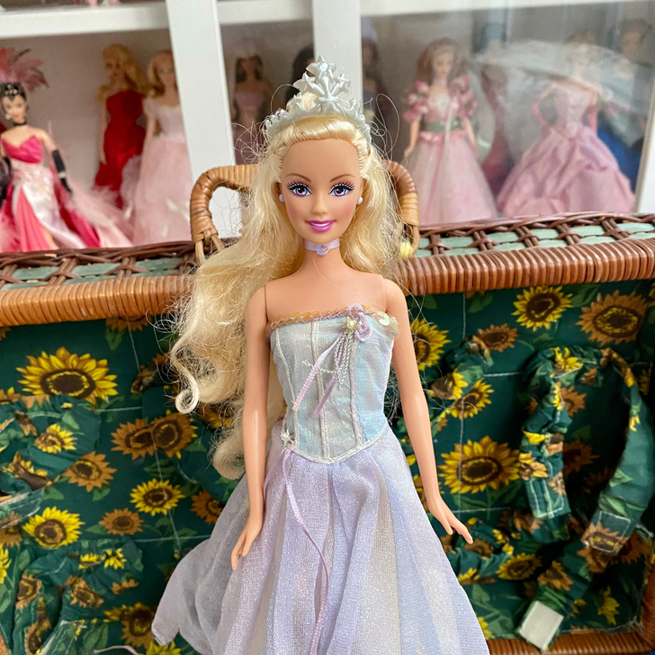 Barbie 芭比魔幻飞马安妮卡