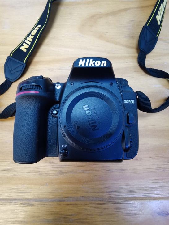 尼康D7500单机 ，机身无磕碰无掉漆，几...