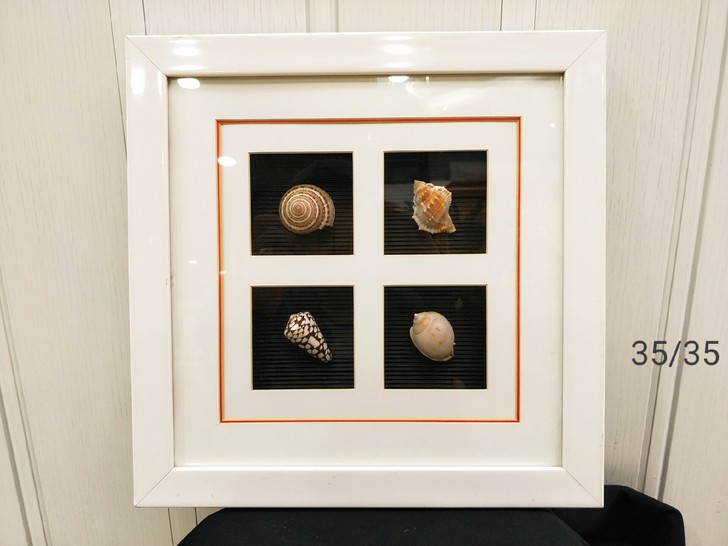 装饰画海贝壳装饰画一个
