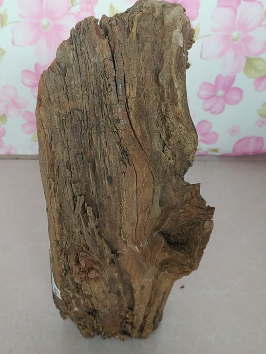 下乡收到一块老枣木，雷击木，百年的雷击红心...