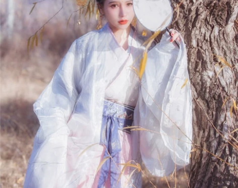 现货 司南阁 白芷 魏晋风传统汉服女交领齐...