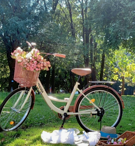 自行车成人26寸24寸女式成人轻便通勤车单...