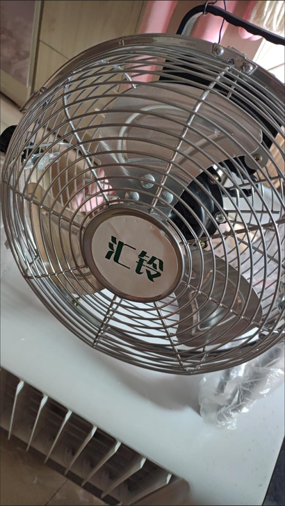 10寸趴地扇,全新包邮