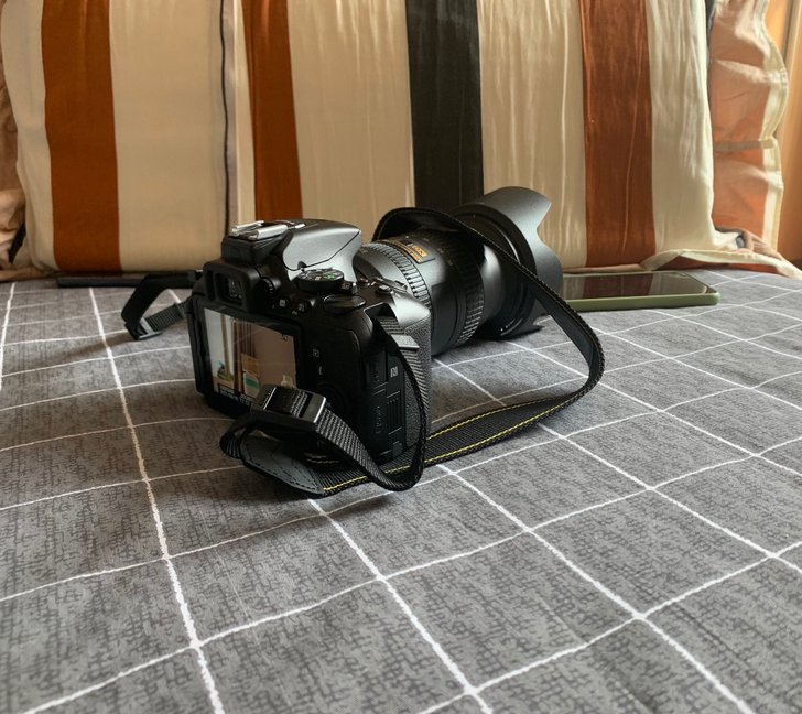 尼康(Nikon)D5600 单反相机 数...