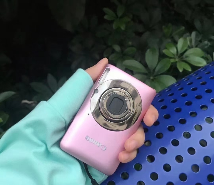 佳能ixus105is樱花粉